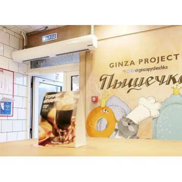 Тепловая завеса Тепломаш КЭВ-10П1062E Оптима-1