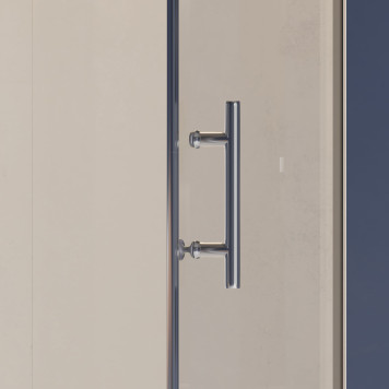 Душевая дверь RGW HO-011 600-2