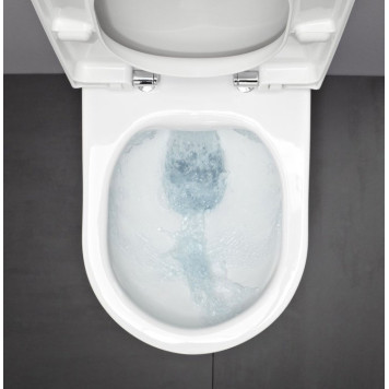 8.2080.2.000.000.1 PALOMBA Подвесной унитаз, безободковый 8.2080.2.000.000.1-2