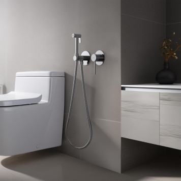 AQ1319CR ЕВРОПА комплект для гигиенического душа встроенный 2 отв. (смеситель + гигиеническая лейка + шланг) AQ1319CR-2