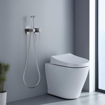 AQ1319CR ЕВРОПА комплект для гигиенического душа встроенный 2 отв. (смеситель + гигиеническая лейка + шланг) AQ1319CR-3