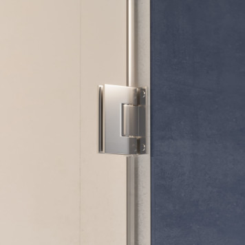 Душевая дверь RGW HO-011 600-3