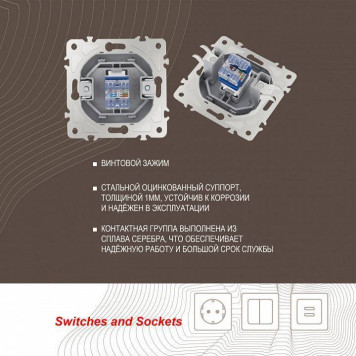 Розетка Ethernet RJ-45 без рамки Arte Milano am-205 205.45-1.silver-3