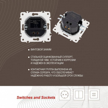 Розетка USB, без рамки Arte Milano am-205 205.46-1.shampan-3