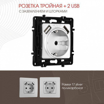 Розетка с заземлением и со шторкой и 2хUSB, без рамки Arte Milano am-217 217.47-1.silver-1