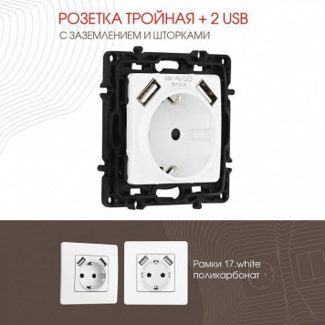 Розетка с заземлением и со шторкой и 2хUSB, без рамки Arte Milano am-217 217.47-1.white-1
