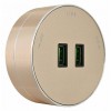 Розетка 2xUSB на треке Arte Milano Am-track-sockets 380011TS/USBx2 Gold