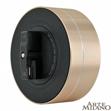 Розетка 2xUSB на треке Arte Milano Am-track-sockets 380011TS/USBx2 Gold-1