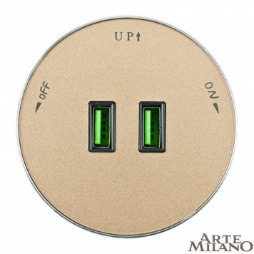 Розетка 2xUSB на треке Arte Milano Am-track-sockets 380011TS/USBx2 Gold-2