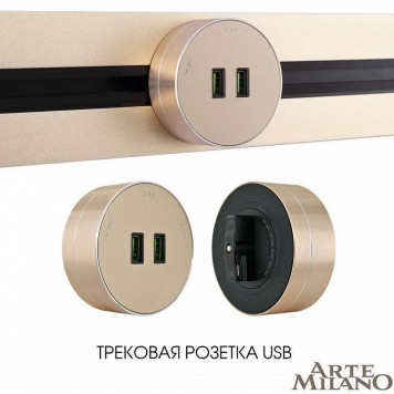 Розетка 2xUSB на треке Arte Milano Am-track-sockets 380011TS/USBx2 Gold-4