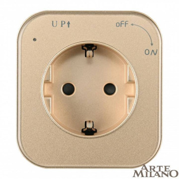 Розетка с заземлением на треке Arte Milano Am-track-sockets 380022TS/ES Gold-2