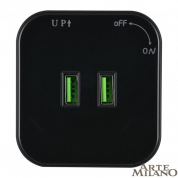 Розетка 2xUSB на треке Arte Milano Am-track-sockets 380022TS/USBx2 Black-2