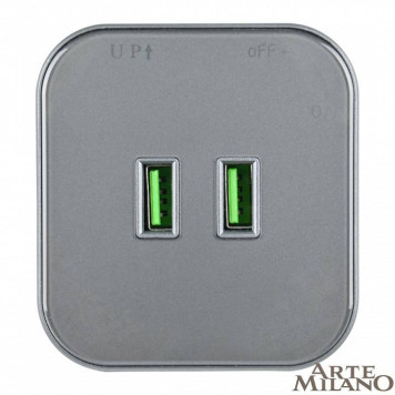 Розетка 2xUSB на треке Arte Milano Am-track-sockets 380022TS/USBx2 Grey-2