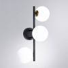 Бра Arte Lamp Gemini A2243PL-3BK