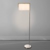 Торшер Arte Lamp Aperol A5031PN-1SS