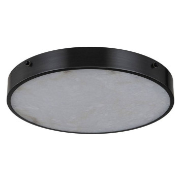 Накладной светильник Belfast Devon 3395-4 BL MB