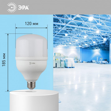 Лампа светодиодная Эра Стандарт LED POWER T120-40W-6500-E27-8
