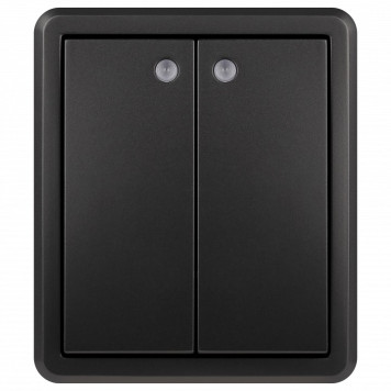 Выключатель двухклавишный с подсветкой Эра Эра Эксперт 11-1205-05