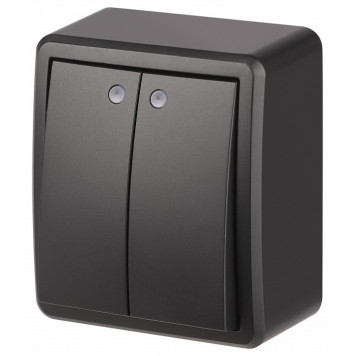 Выключатель двухклавишный с подсветкой Эра Эра Эксперт 11-1205-05-2