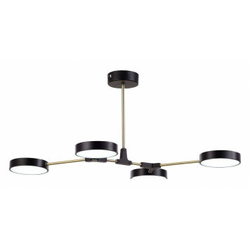 Люстра на штанге EVOLUCE Monta SLE6004-402-04-2