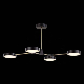 Люстра на штанге EVOLUCE Monta SLE6004-402-04-4