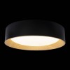 Накладной светильник Loft it Coin 10202 Black