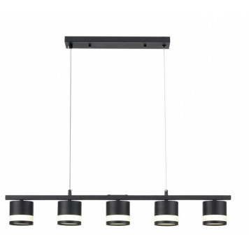 Подвесной светильник Lumion Lanika 8240/5-3