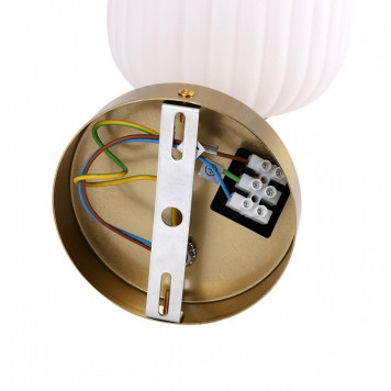 Бра Lumion ALEGRA 8334/1W-5