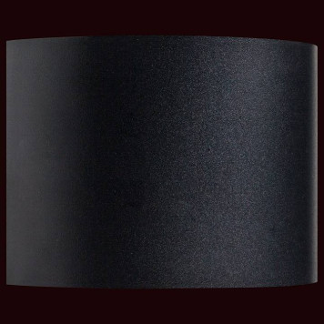 Накладной светильник Lightstar Dalla 340547-1