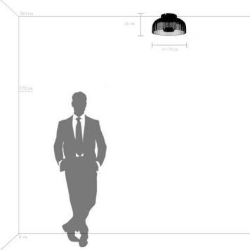 Накладной светильник Lightstar Celesta 809061-2