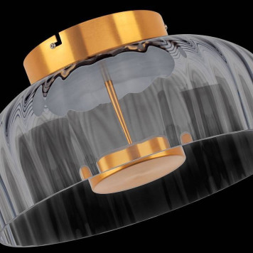 Накладной светильник Lightstar Celesta 809061-9