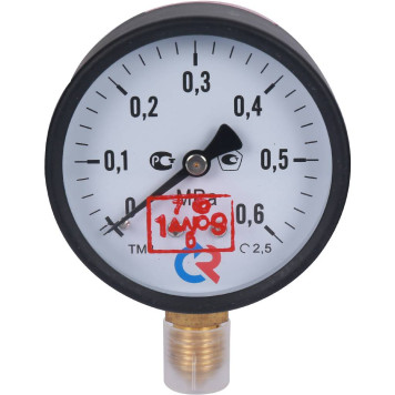 Манометр РОСМА ТМ-310Р G1/4 0-0,6МПа 150 град. кл.2,5 63 мм-1
