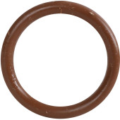 Уплотнительное кольцо ROMMER из FPM, 22 RSS-0028-000022 (RSS-0028-000022)