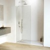 Душевая перегородка RGW WA-102W 1200