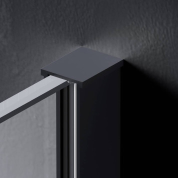 W84WI-110-F1-BTE Душевая перегородка 110x200 см-2