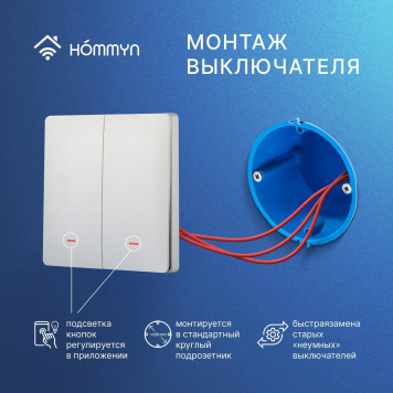Комплект два умных двухклавишных выключателя и хаб HOMMYN SW22HOMKIT05-2