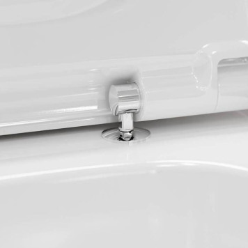 Hansgrohe CreekTide Q Сиденье для унитаза, с микролифтом, с верхним креплением, цвет: белый. 60126450-6