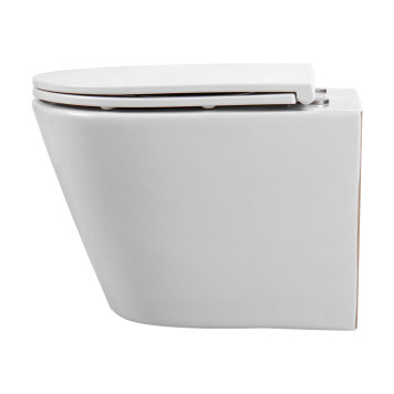 AQ1904T-00 ВЕГА Унитаз-компакт подвесной TORNADO 490360320мм, тонкое сиденье с механизмом плавного закрывания, крепеж AQ1904T-00-16