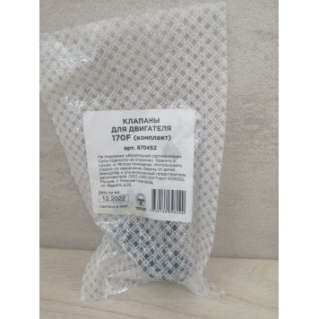 Клапаны для двигателя 170F(комплект) (870452)-2