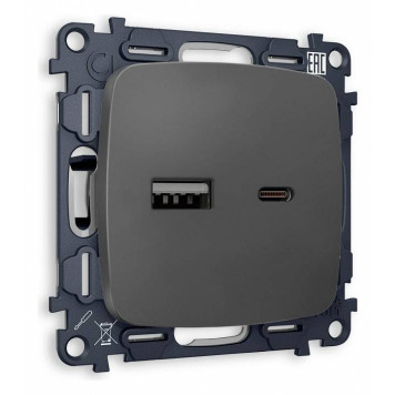 Розетка 2хUSB type A и C без рамки Ambrella Volt Quant MO911010