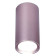 Накладной светильник Ambrella Light TN TN220