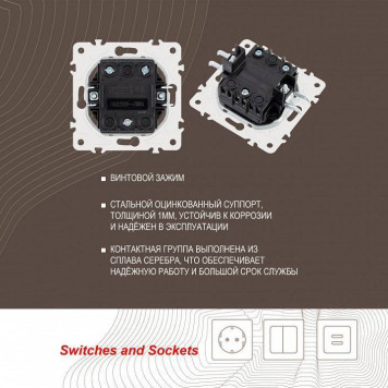 Выключатель двухклавишный без рамки Arte Milano 205 205.30-2.shampan-2