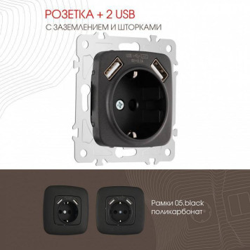 Розетка с заземлением и со шторкой и 2хUSB, без рамки Arte Milano am-205 205.47-1.black-1