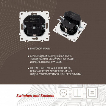 Розетка с заземлением и со шторкой и 2хUSB, без рамки Arte Milano am-205 205.47-1.black-3