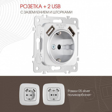 Розетка с заземлением и со шторкой и 2хUSB, без рамки Arte Milano am-205 205.47-1.silver-1