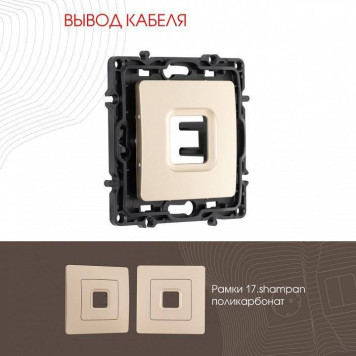 Розетка для вывод кабеля без рамки Arte Milano am-217 217.49-1.shampan-1