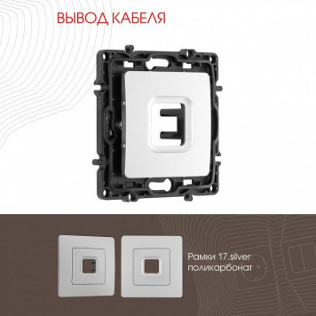Розетка для вывод кабеля без рамки Arte Milano am-217 217.49-1.silver-1