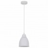 Подвесной светильник Arte Lamp Braccio A2054SP-1WH