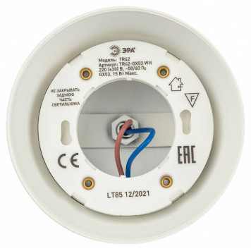 Светильник на штанге Эра TR42-GX53 WH-4