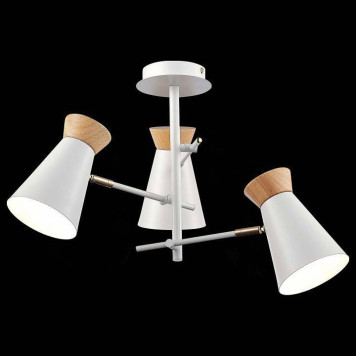 Потолочная люстра EVOLUCE Alfeo SLE1252-502-03-2